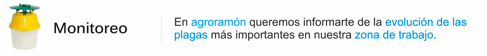 seguimiento de plagas en el cultivo de maiz